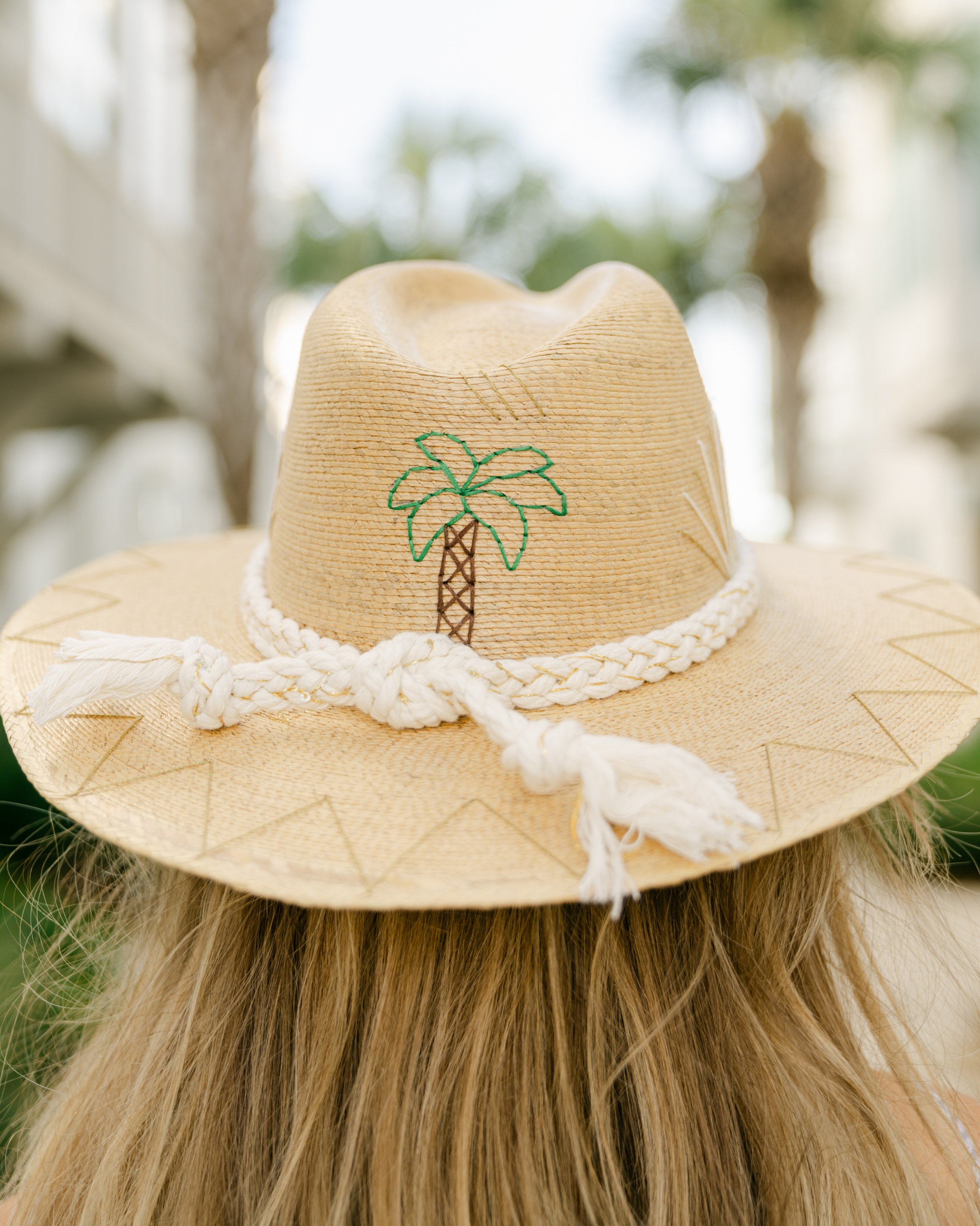 Natural Palm - Cabo Agave - Playa Palm Tree