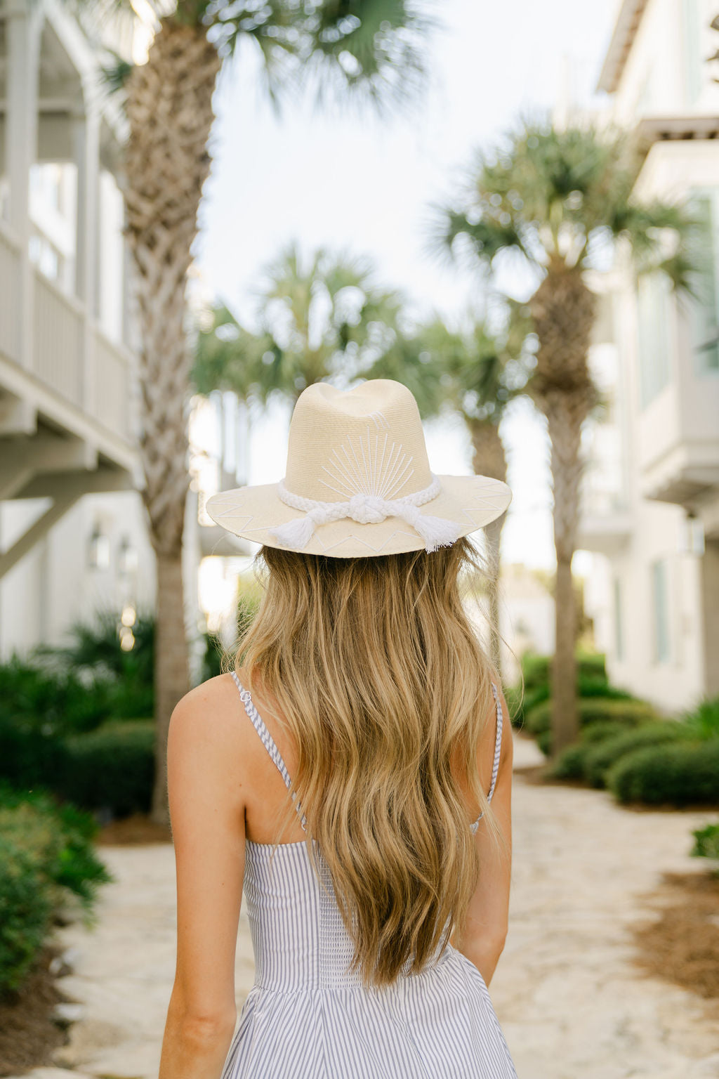 White Palm - Bridal Agave